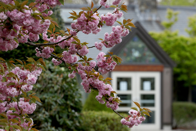 Student illustration of a car