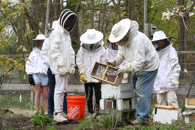 BDS Garden Bees 1 04.03.22Scoop Student illustration of a car