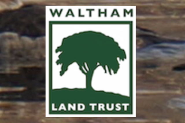 A drawing by a pre-k student of two hearts and a hand