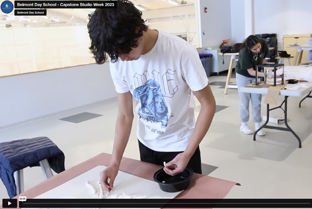 BDS Capstone Week Video 03.10.23