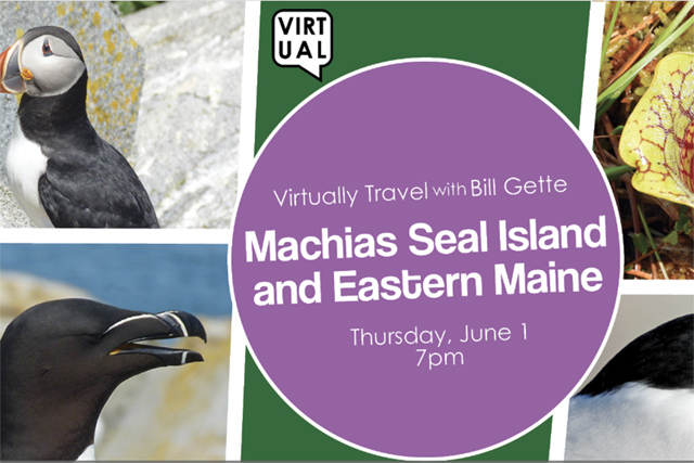 A drawing by a pre-k student of two hearts and a hand