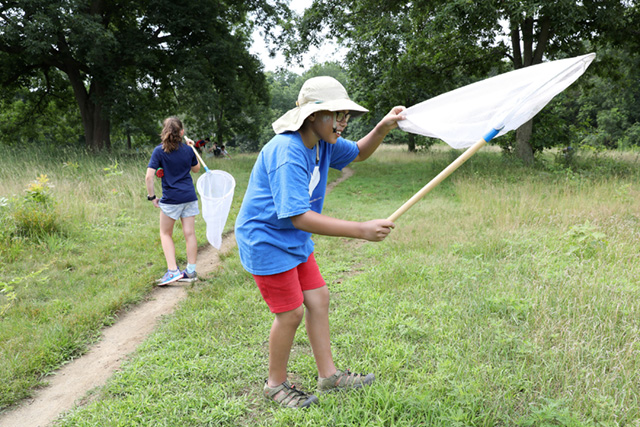 Student illustration of a car