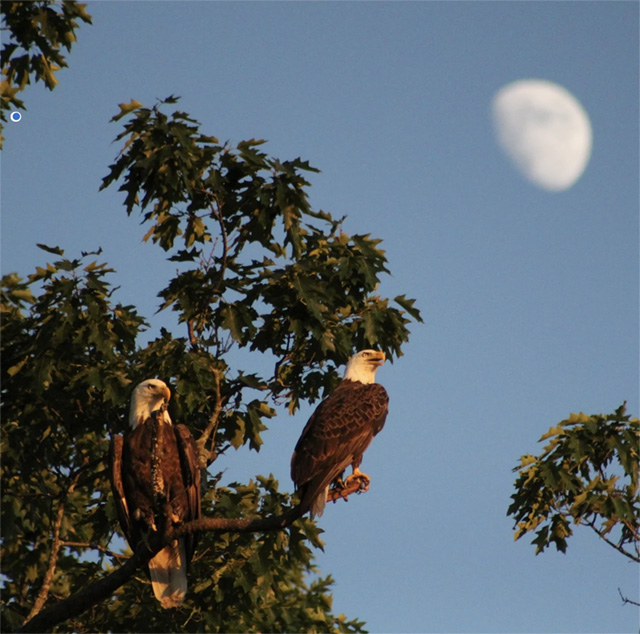 Student illustration of a car